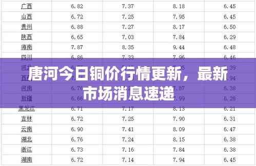 唐河今日铜价行情更新，最新市场消息速递