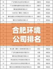 合肥环境公司排名揭晓，优质企业榜单，值得信赖的专业服务！