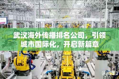 武汉海外传播排名公司，引领城市国际化，开启新篇章